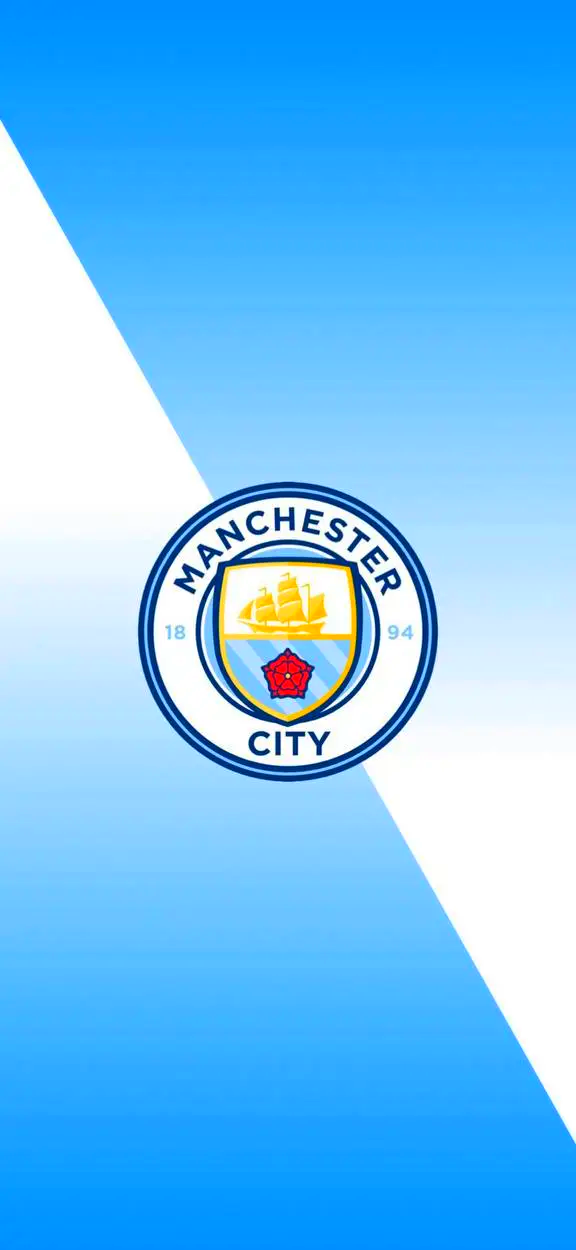 墨西哥世界杯球场附近惊现456袋人体残骸